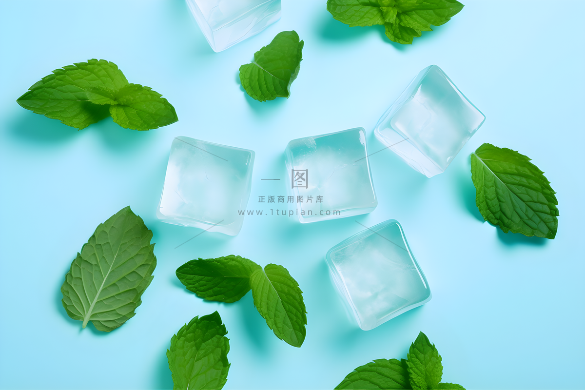 :一张照片是浅蓝色背景下的几个方形冰块和绿色薄荷叶