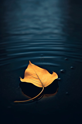 蓝色大气秋叶简约背景 蓝色大气秋叶简约背景