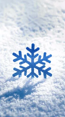 冬季白雪地里的蓝色雪花寒冷大寒小雪大雪摄影图