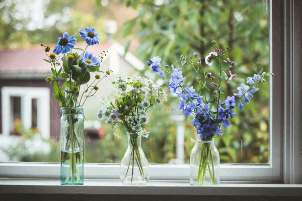 窗台花瓶鲜花清新春日景色摄影图