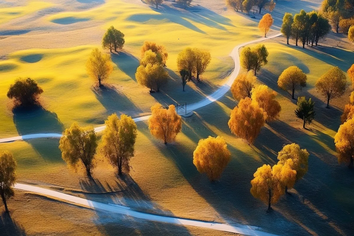 秋天新疆树木秋景摄影图
