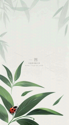春天国风插画绿叶上的昆虫惊蛰插画背景 春天国风插画绿叶上的昆虫惊蛰插画背景