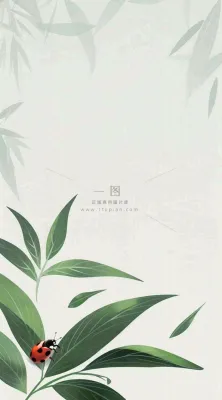 春天国风插画绿叶上的昆虫惊蛰插画背景 春天国风插画绿叶上的昆虫惊蛰插画背景