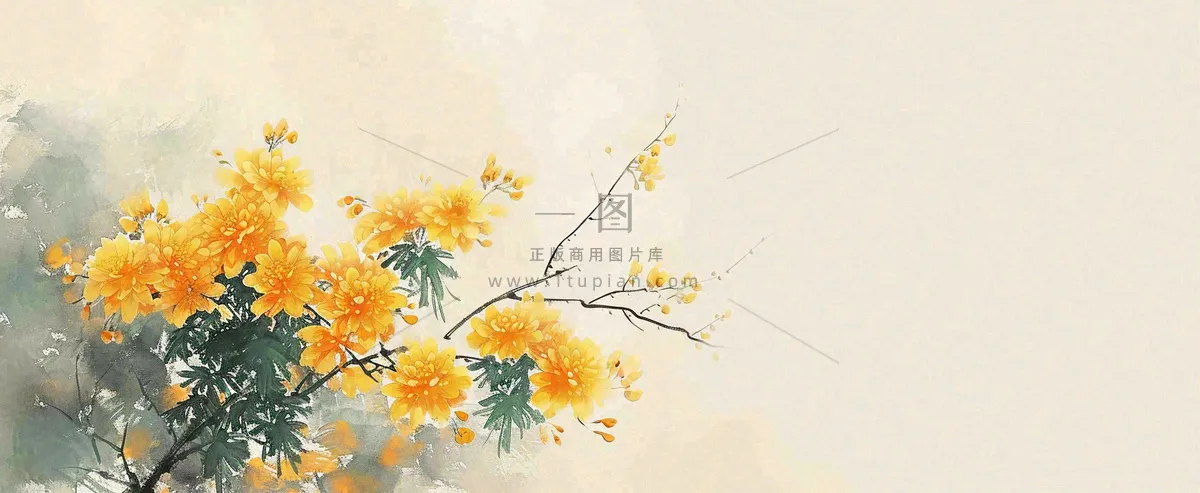 温馨纹理橙色花朵鲜花蝴蝶意境唯美，中国风