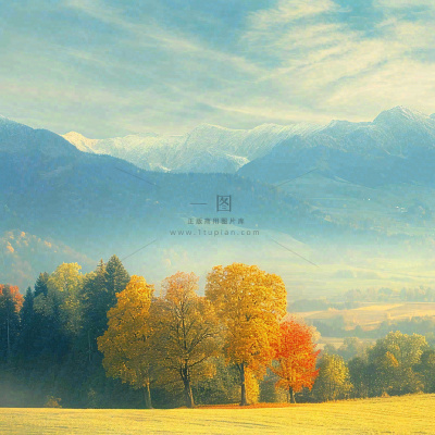 秋天黄色的树叶和草地肃杀的气氛,立秋,秋分 秋天黄色的树叶和草地肃杀的气氛,立秋,秋分