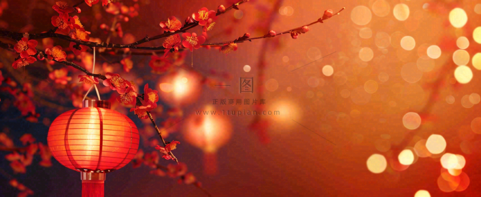 春节梅花红灯笼挂枝头红色喜庆小年除夕夜元宵节背景