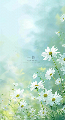 绿色清新野菊花特写春夏花朵摄影图