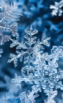 冬天寒冷白雪结冰小寒摄影图 冬天寒冷白雪结冰小寒摄影图