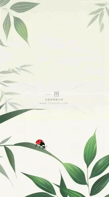 春天国风插画绿叶上的昆虫惊蛰插画背景 春天国风插画绿叶上的昆虫惊蛰插画背景