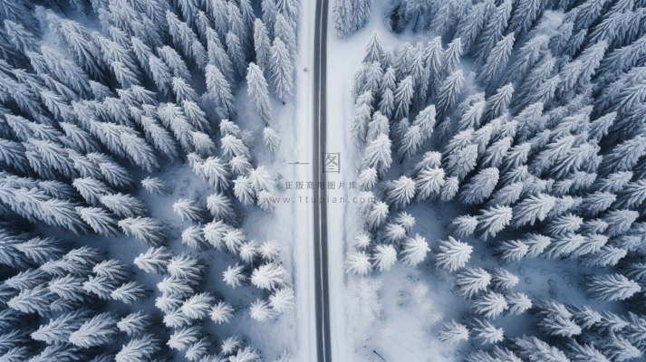 冬季森林大雪覆盖延绵的公路摄影图