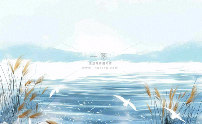 唯美白露插画白鹭动物风景秋天景色寒冷清冷芦苇丛寒露背景
