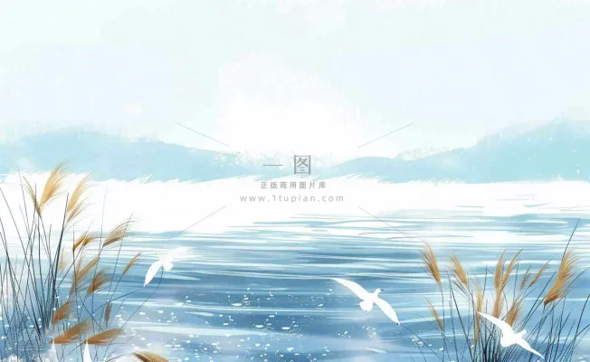 唯美白露插画白鹭动物风景秋天景色寒冷清冷芦苇丛寒露背景