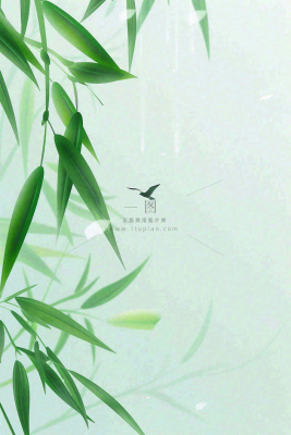 春夏绿竹竹叶燕子清雅小清新清明端午插画背景