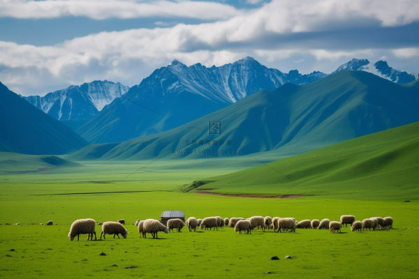 新疆春天草原风光大自然风景摄影图