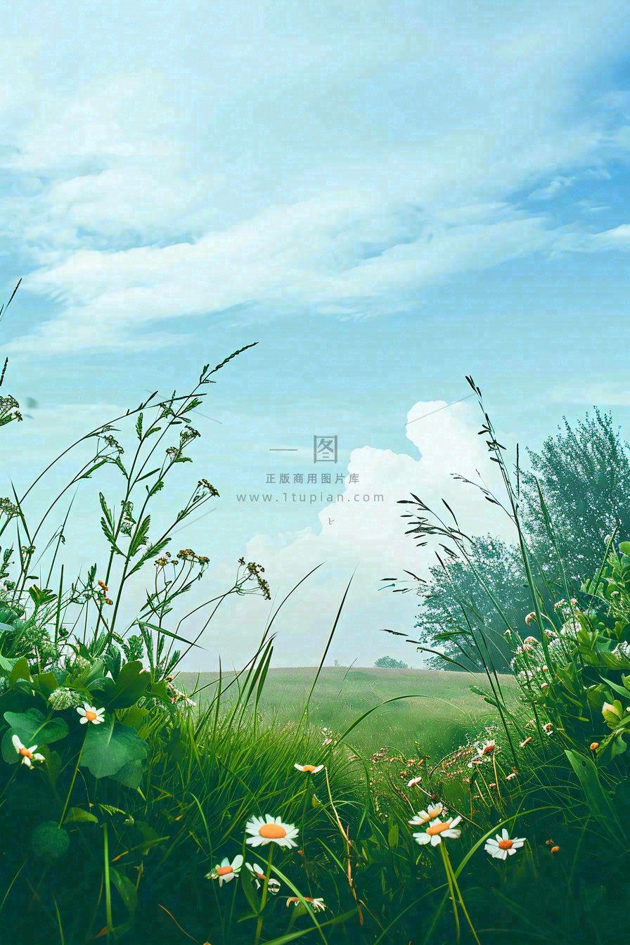 春天野外绿草繁花阳光明媚立春,春分,野外郊游,踏青,春游