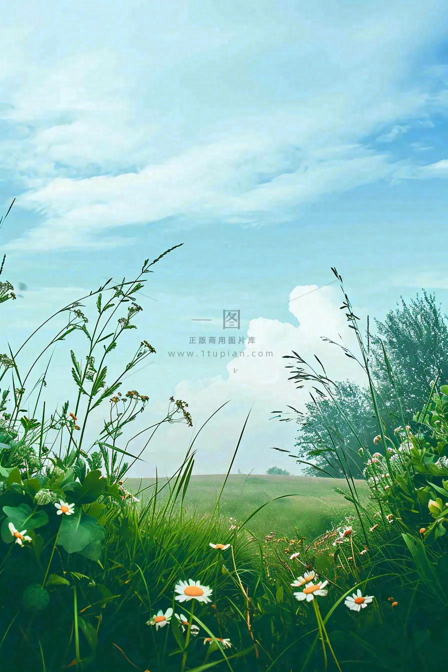春天野外绿草繁花阳光明媚立春,春分,野外郊游,踏青,春游