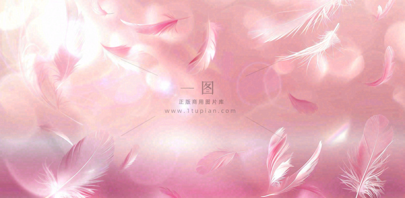 粉色气泡羽毛梦幻情人节七夕插画背景