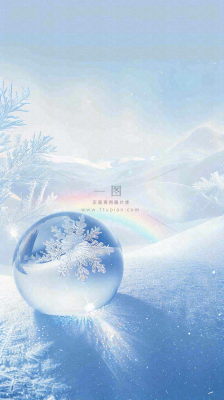 冬天结霜结冰的雪花霜降立冬摄影图