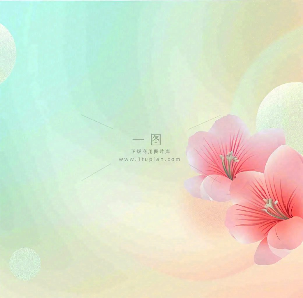 彩色简约鲜花花束郁金香渐变花朵