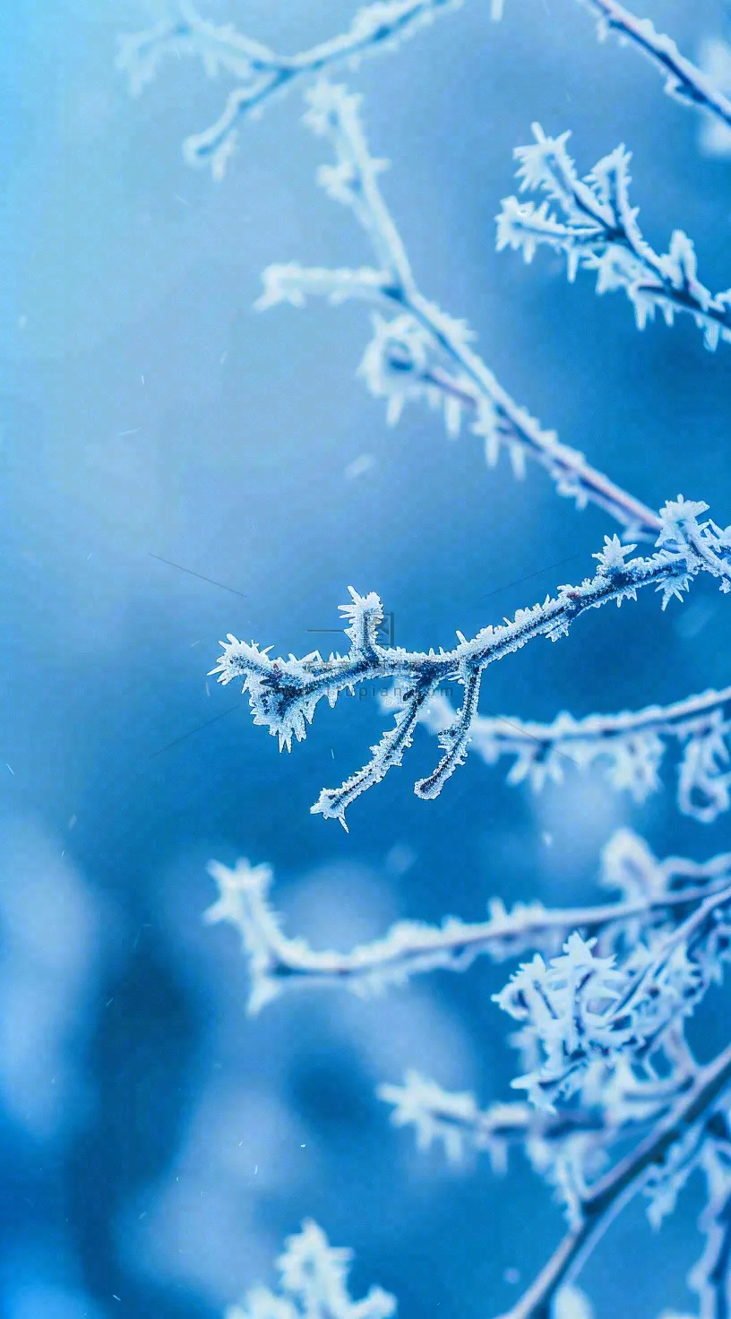 冬天寒冷白雪结冰小寒摄影图