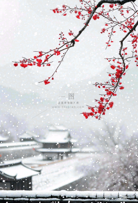 冬天寒冷白雪结冰小寒摄影图