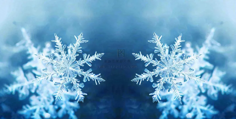 冬季雪花水晶蓝色寒冷小寒大寒大雪摄影图
