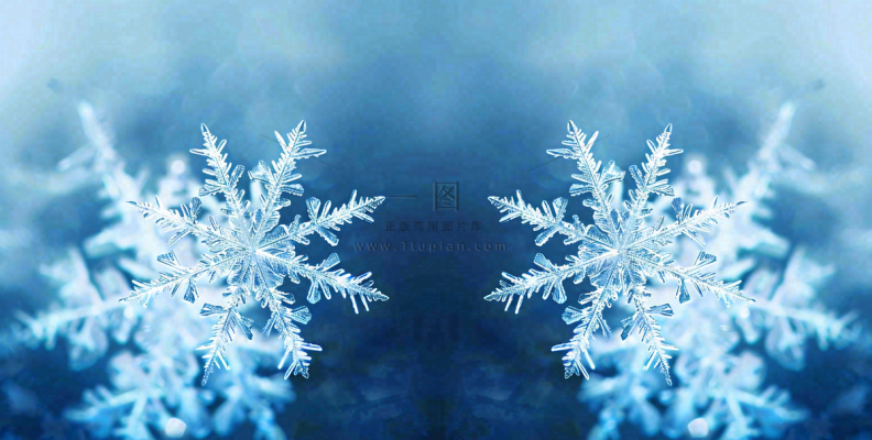 冬季雪花水晶蓝色寒冷小寒大寒大雪摄影图 冬季雪花水晶蓝色寒冷小寒大寒大雪摄影图