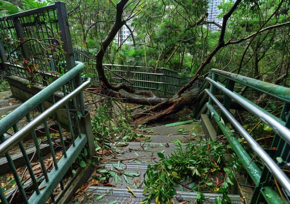 台风预警天气自然灾害