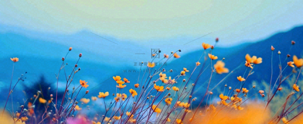 简约橙色小花鲜花，蓝色天空山脉虚幻意境摄影图