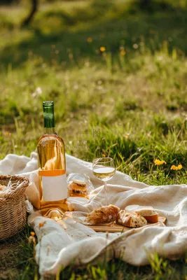春天户外草坪野餐篮子露营食物酒面包摄影