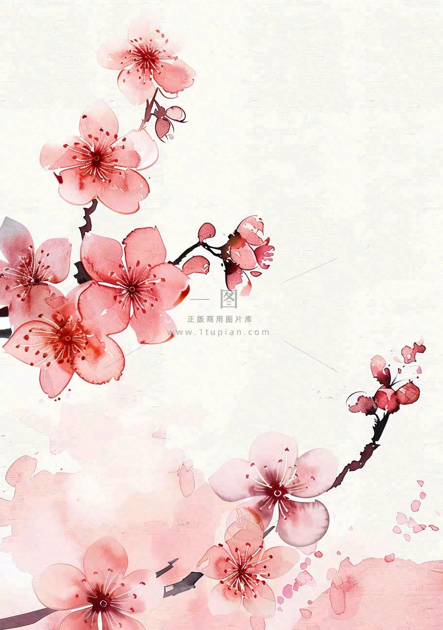 教师节