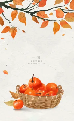 秋冬柿子树下的柿子水果霜降插画背景 秋冬柿子树下的柿子水果霜降插画背景
