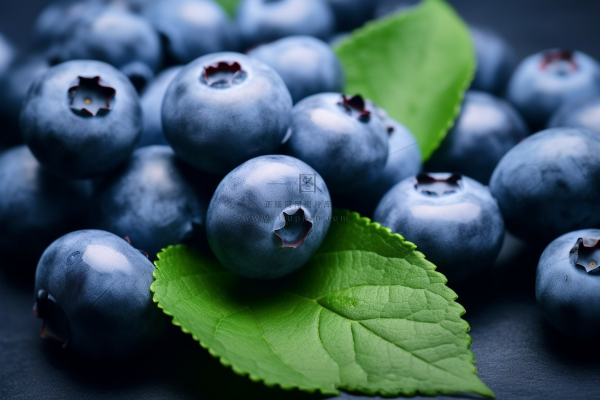 蓝莓水果摄影图