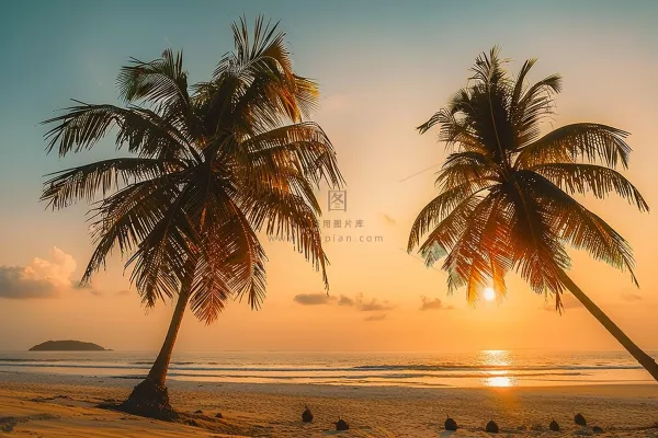 夏日海滩日落晚霞摄影图