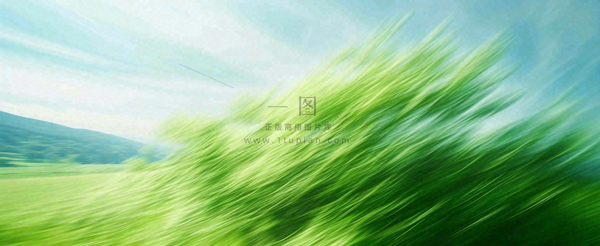 高山模糊绿树植物光影,大自然摄影图