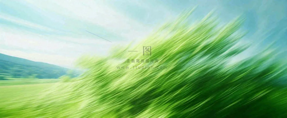 高山模糊绿树植物光影，大自然摄影图