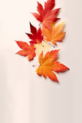 秋叶橙红色意境简约大气节气海报背景 秋叶橙红色意境简约大气节气海报背景