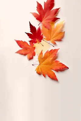 秋叶橙红色意境简约大气节气海报背景 秋叶橙红色意境简约大气节气海报背景