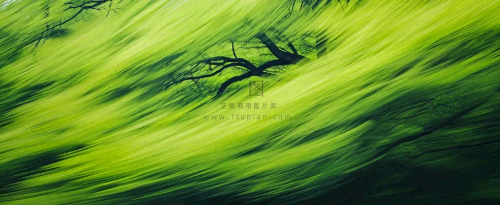 绿色植物树木绚丽虚幻背景