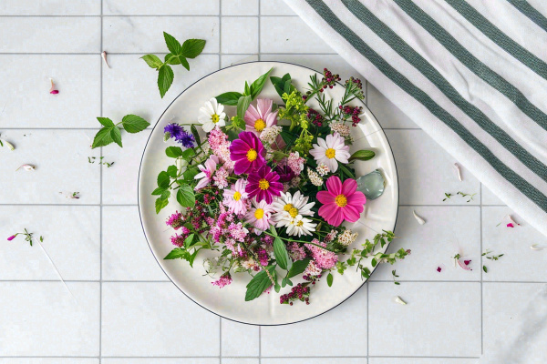 鲜花彩色花朵碟子摆盘简约摄影图