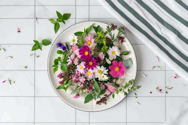 鲜花彩色花朵碟子摆盘简约摄影图