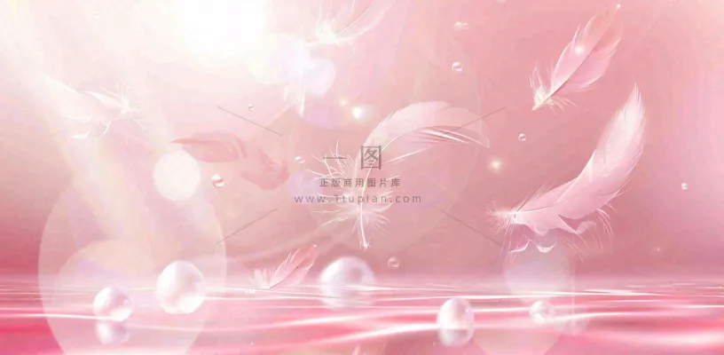 粉色气泡羽毛梦幻情人节七夕插画背景