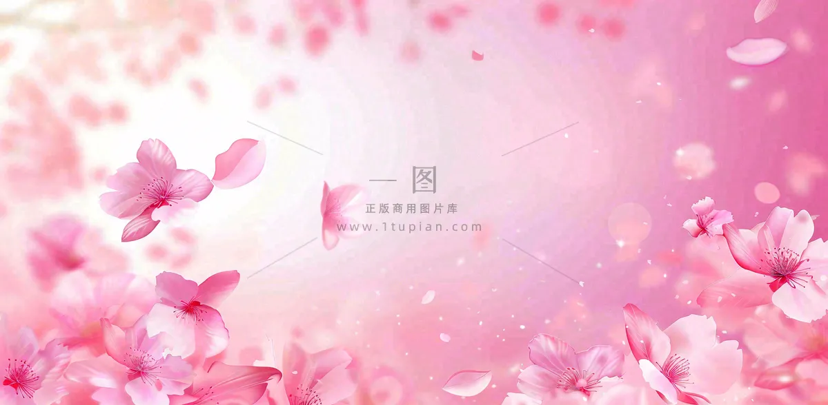 粉色樱花花瓣唯美妇女节春天摄影图