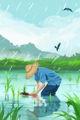 春耕农民种植水稻水田春雨燕子小满芒种春分卡通插画背景