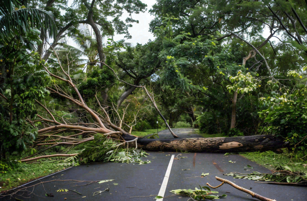 台风预警天气自然灾害