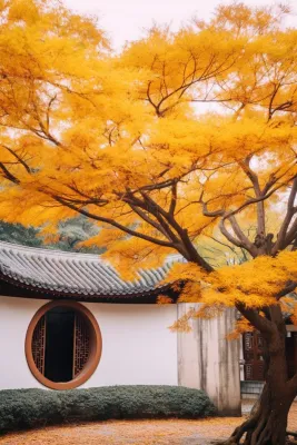 秋天苏州园林景观摄影图