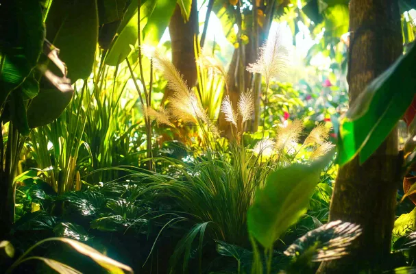 热带植物园绿植摄影图 热带植物园绿植摄影图