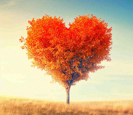 秋天爱心树木橙红色落叶蓝天温馨