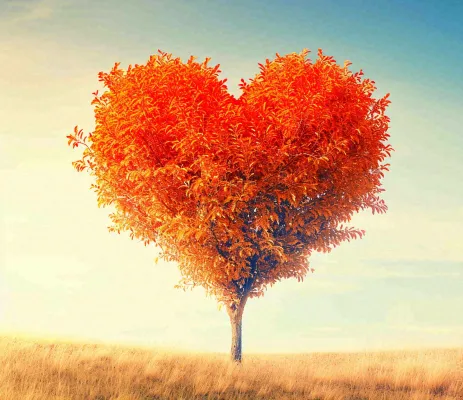 秋天爱心树木橙红色落叶蓝天温馨