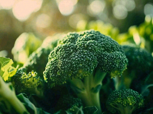 西兰花蔬菜绿色营养摄影图